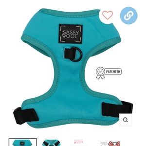 SASSYWOOF NEON BLUE HARNESS